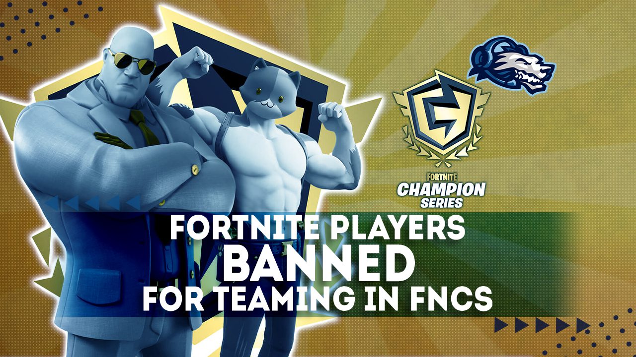 Fortnite Daily Videos