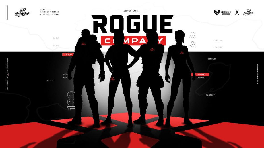 100 Thieves x Rouge Comapny