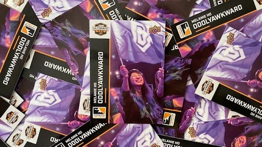 Mel's ultimate fan Overwatch League trading cards